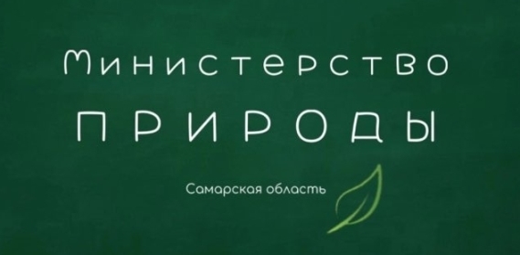 Смотреть видео