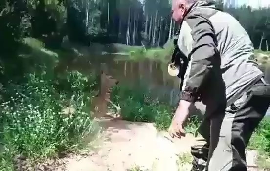 Смотреть видео