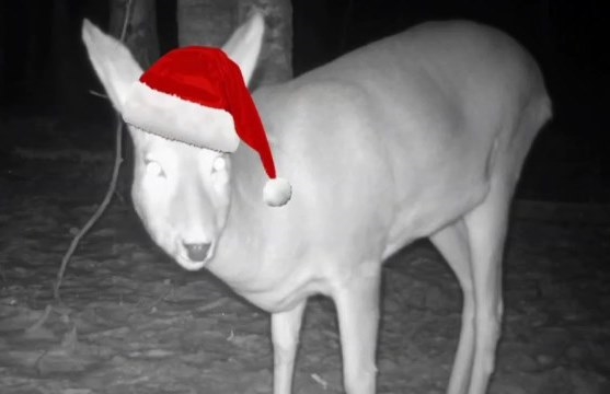 Смотреть видео