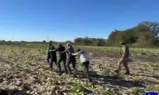 Смотреть видео